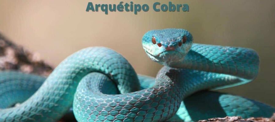 Arquétipo Cobra