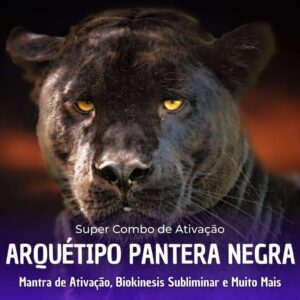 Áudio Ativar Pantera Negra