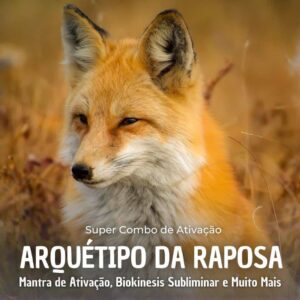 Áudio Ativar Arquétipo Raposa.
