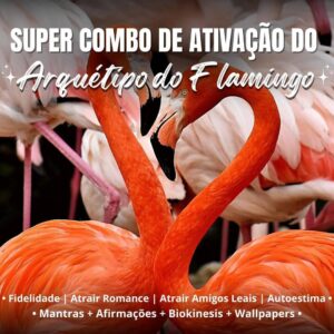 Áudio Ativar Arquétipo Flamingo.